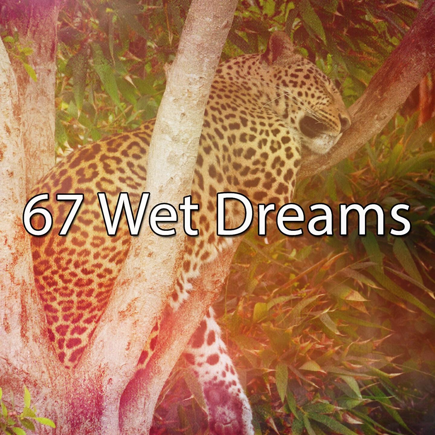 Релиз 67 Wet Dreams