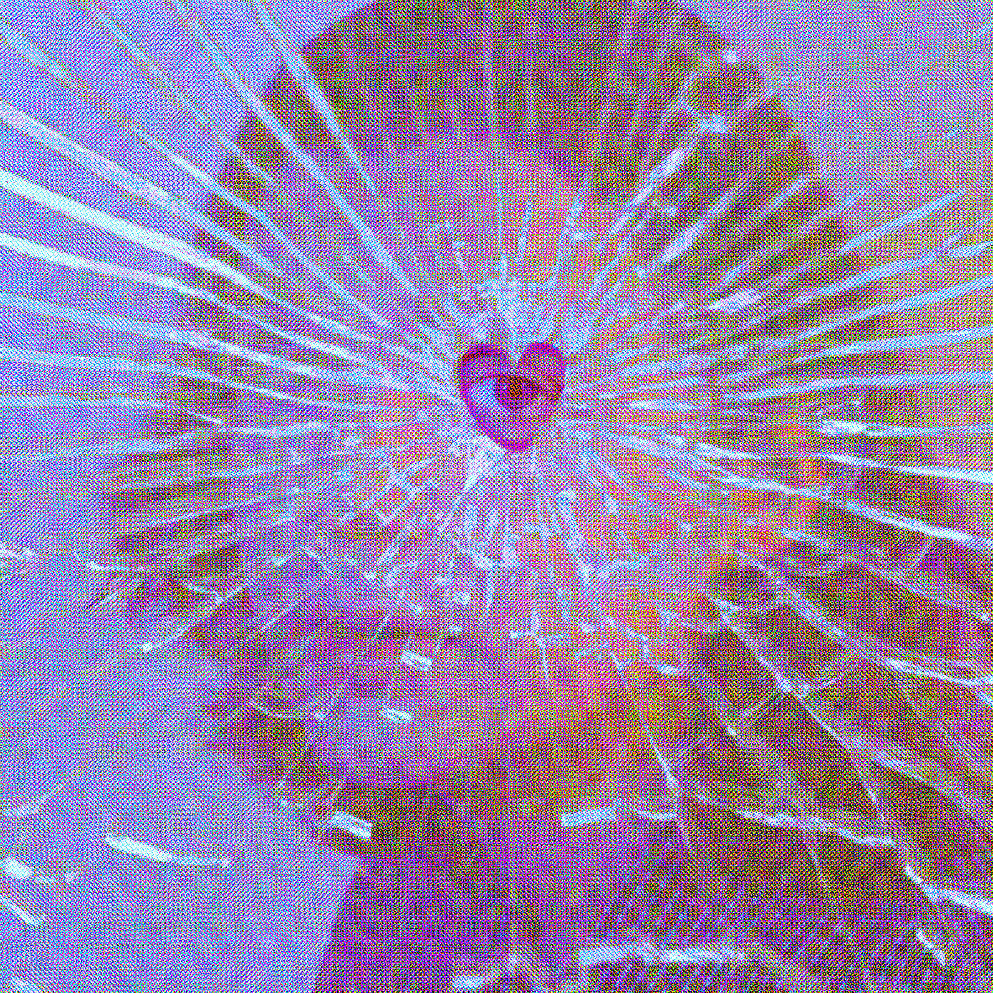 Релиз Trigger Of Love