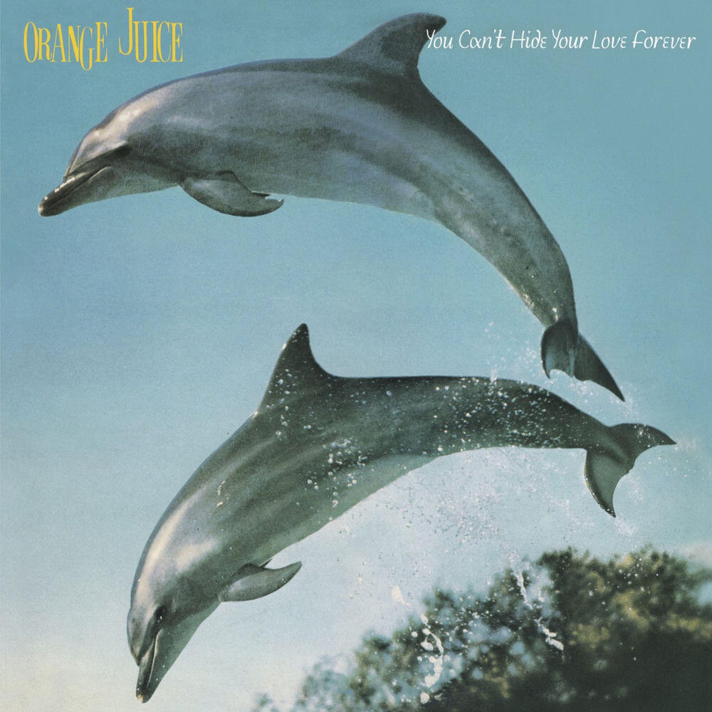Релиз You Can't Hide Your Love Forever