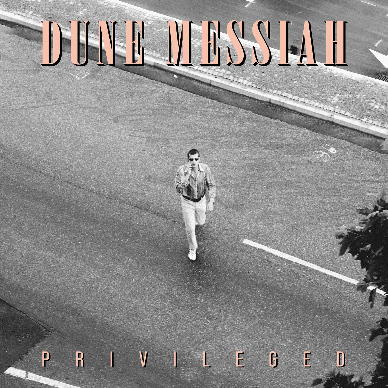 Релиз Privileged