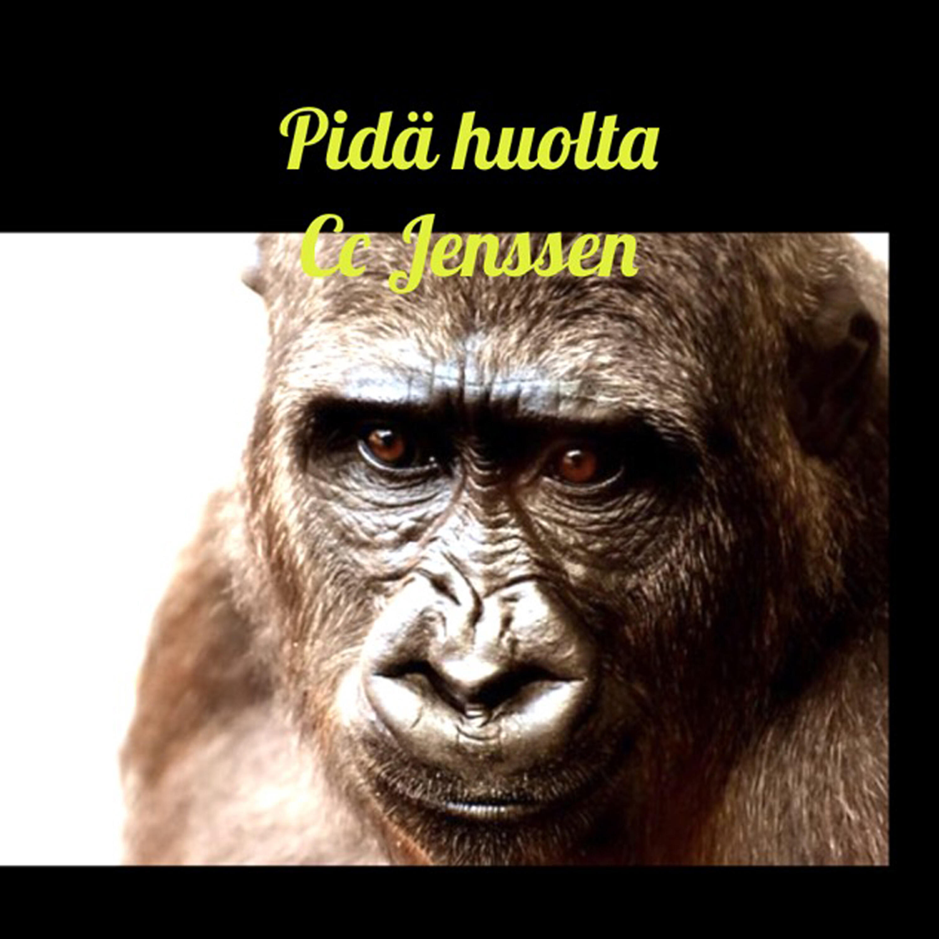 Релиз Pidä Huolta