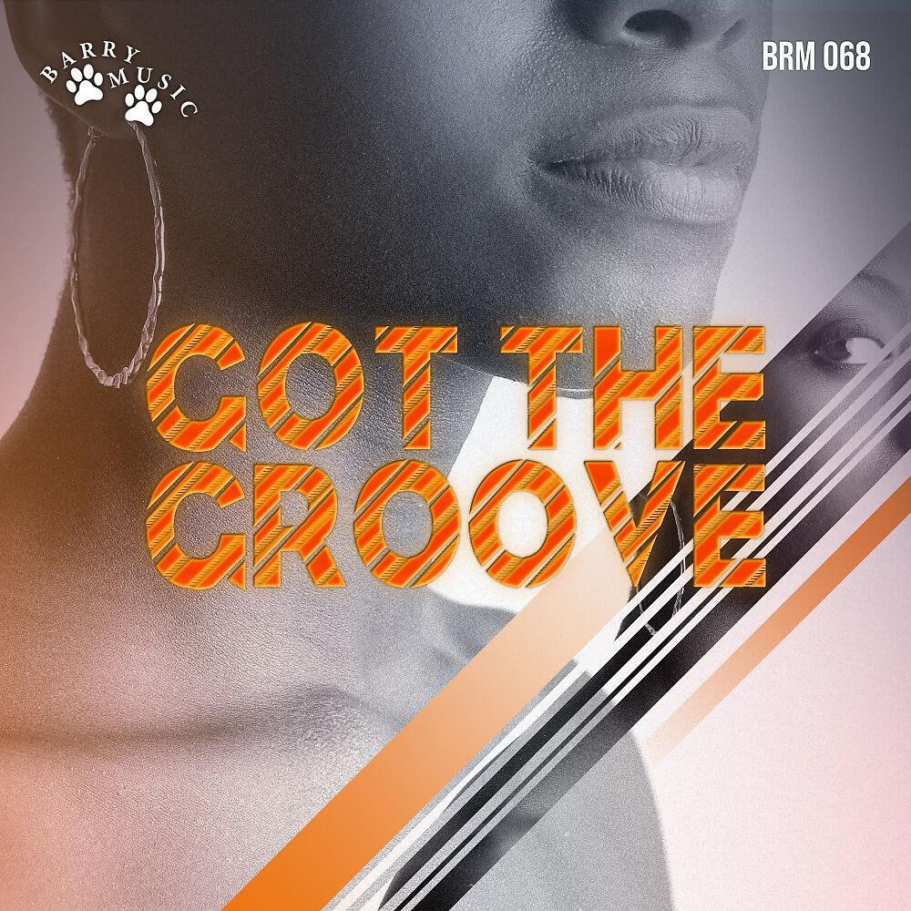 Постер альбома Got the Groove