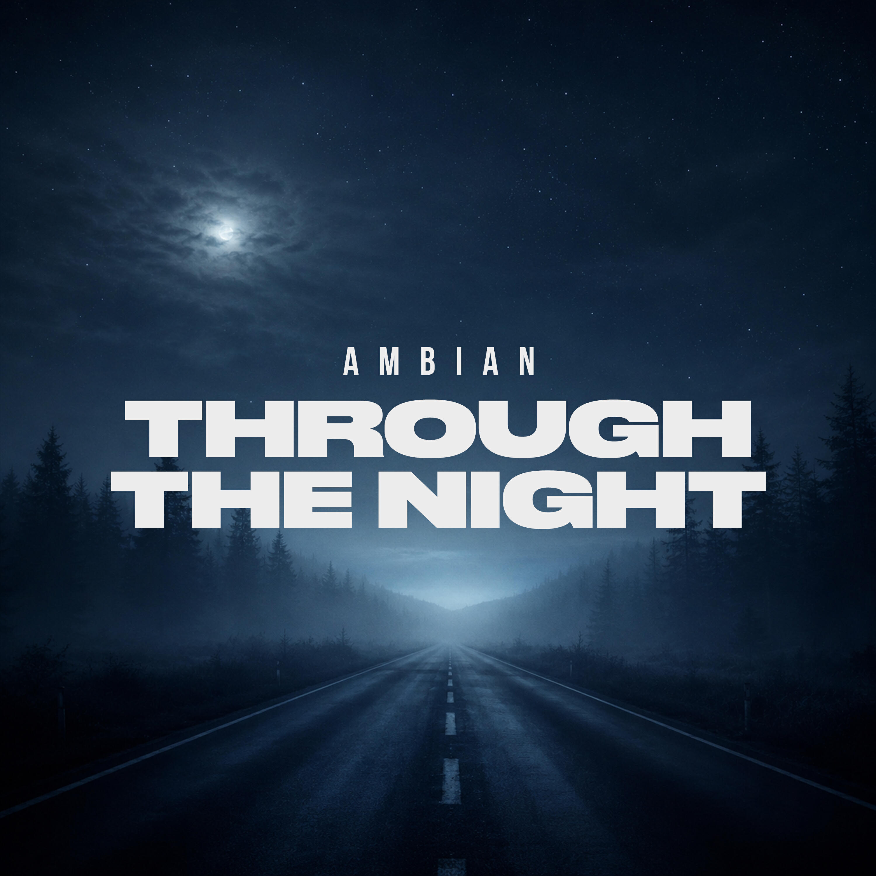 Релиз Trought The Night