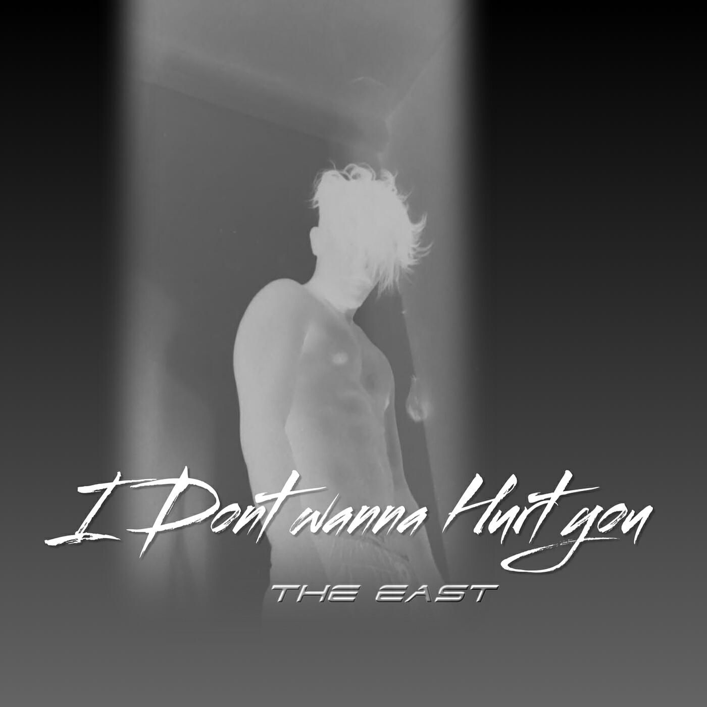 Релиз I Don't Wanna Hurt You