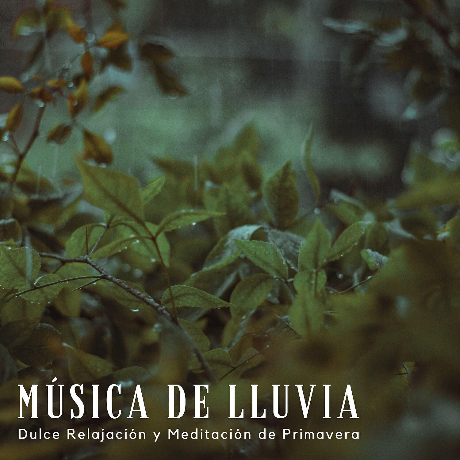Sonidos De Lluvia & Relajacion & Academia de Música con Sonidos de la Naturaleza - Tormentas De Primavera