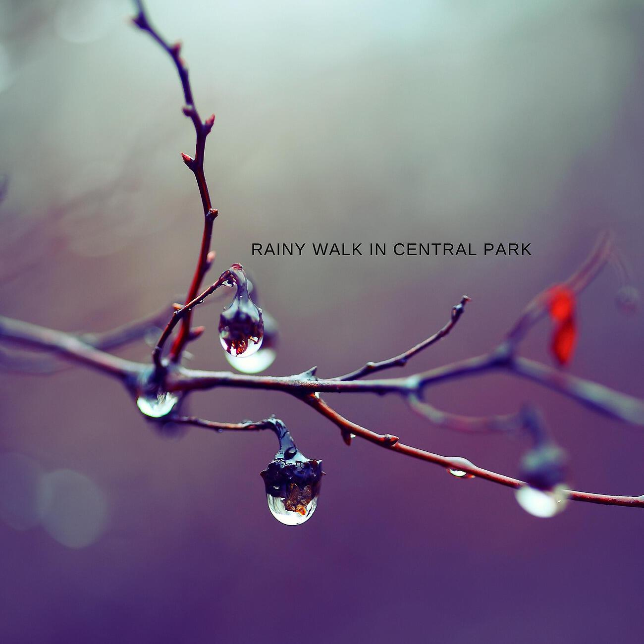 Релиз Rainy Walk In Central Park