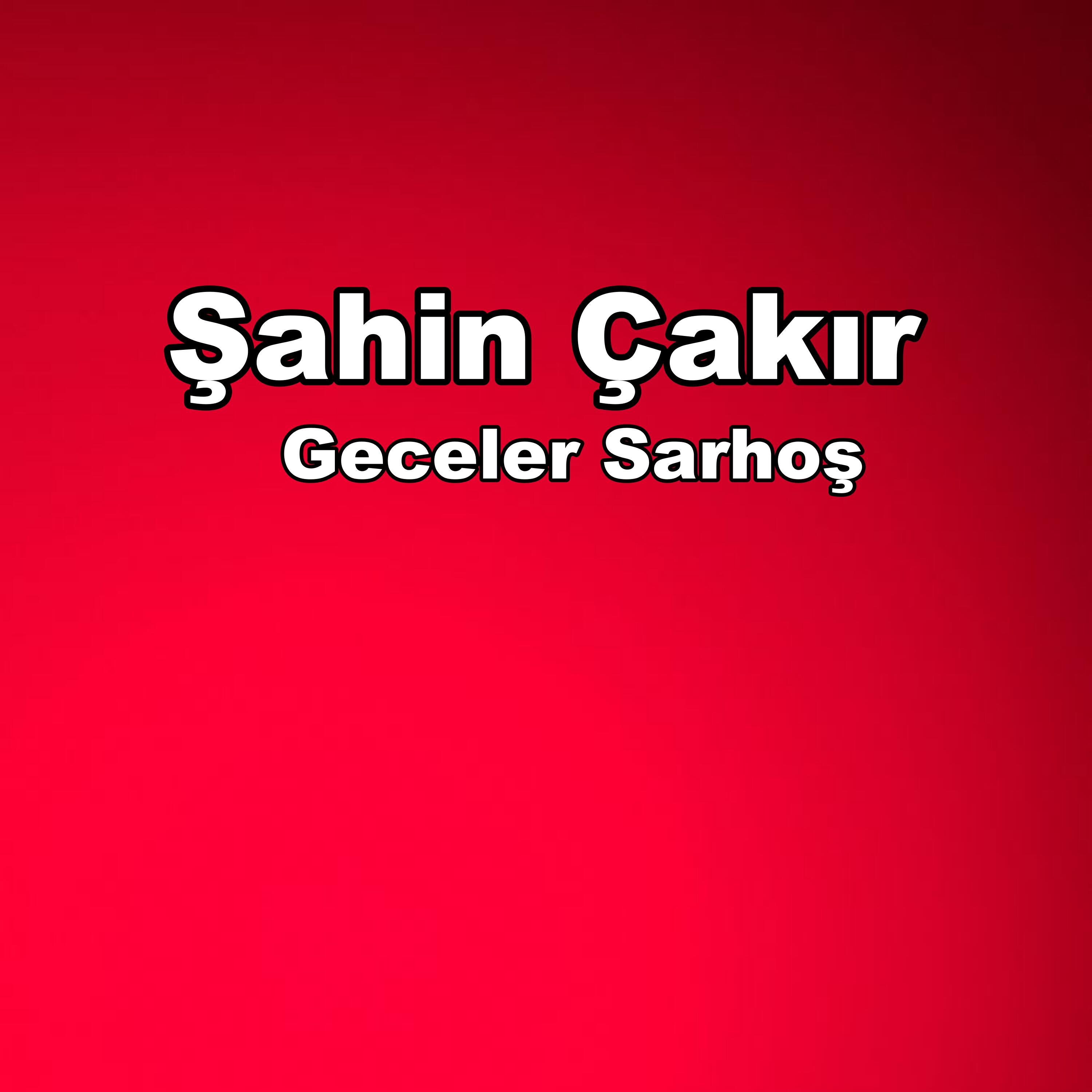 Постер альбома Geceler Sarhoş