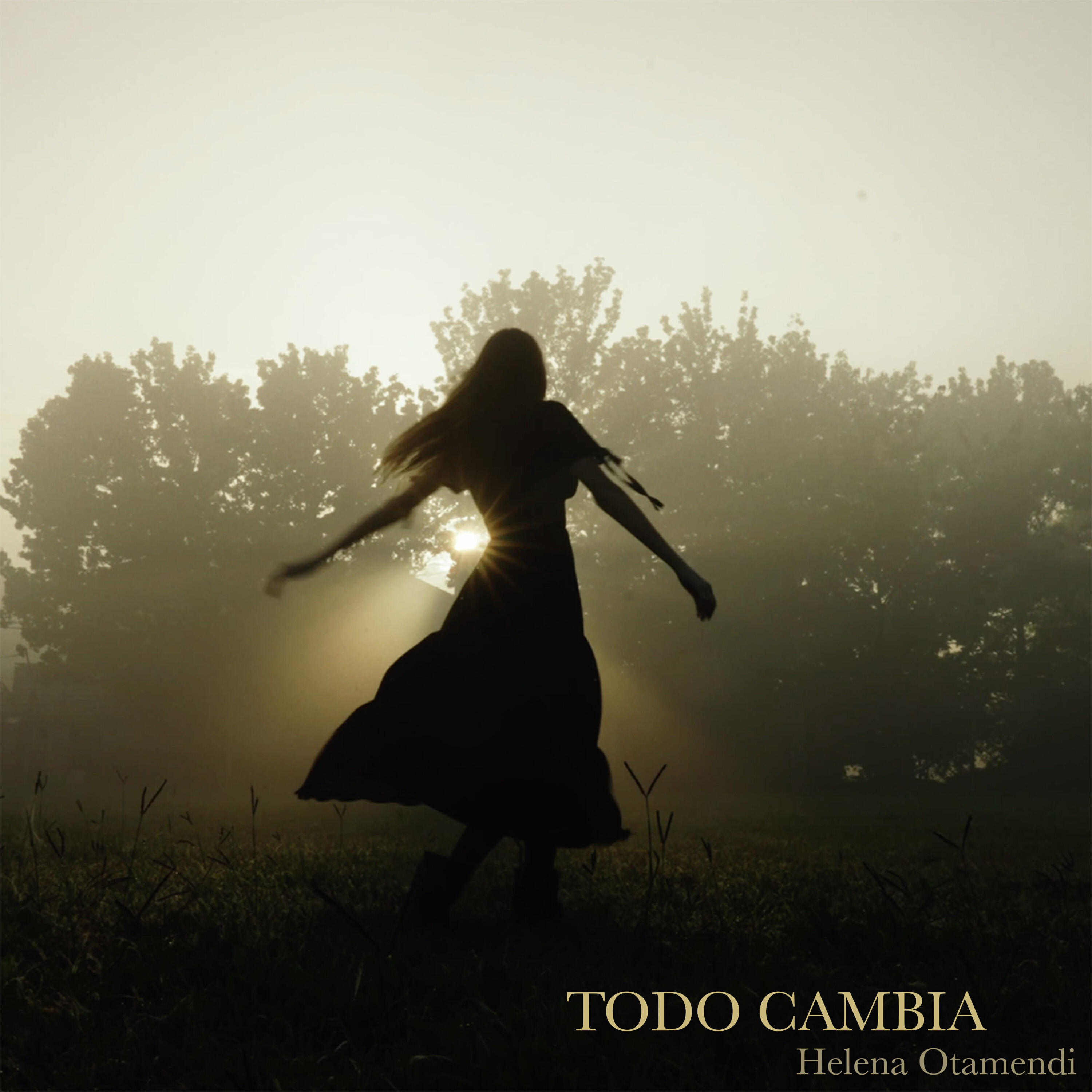 Релиз Todo Cambia