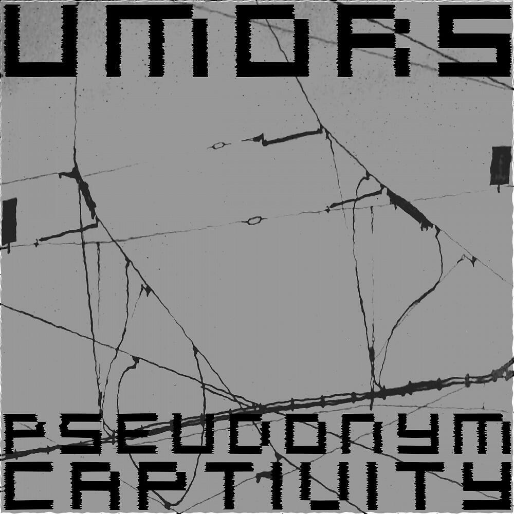 Релиз Pseudonym Captivity