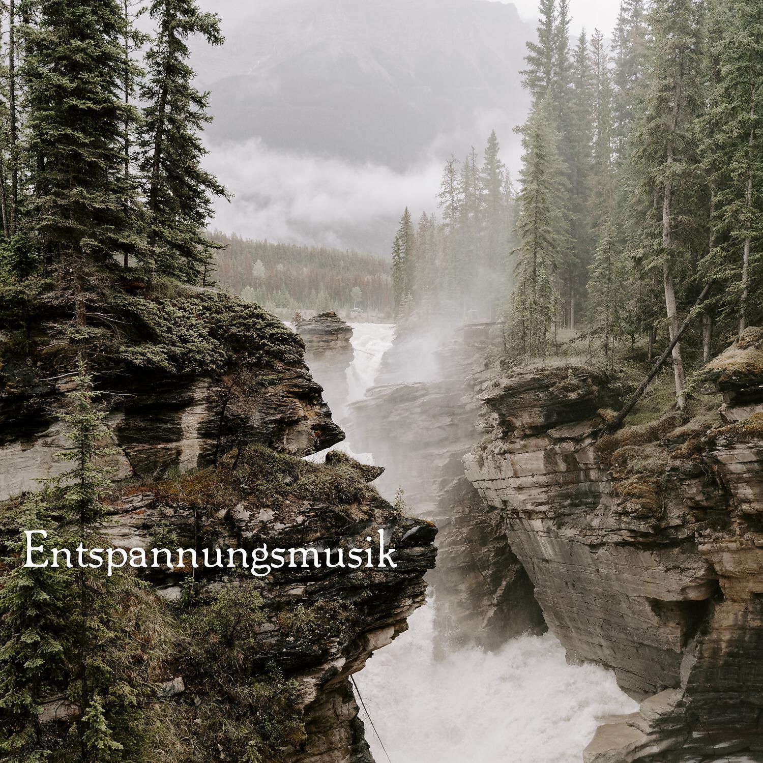 Релиз Entspannungsmusik
