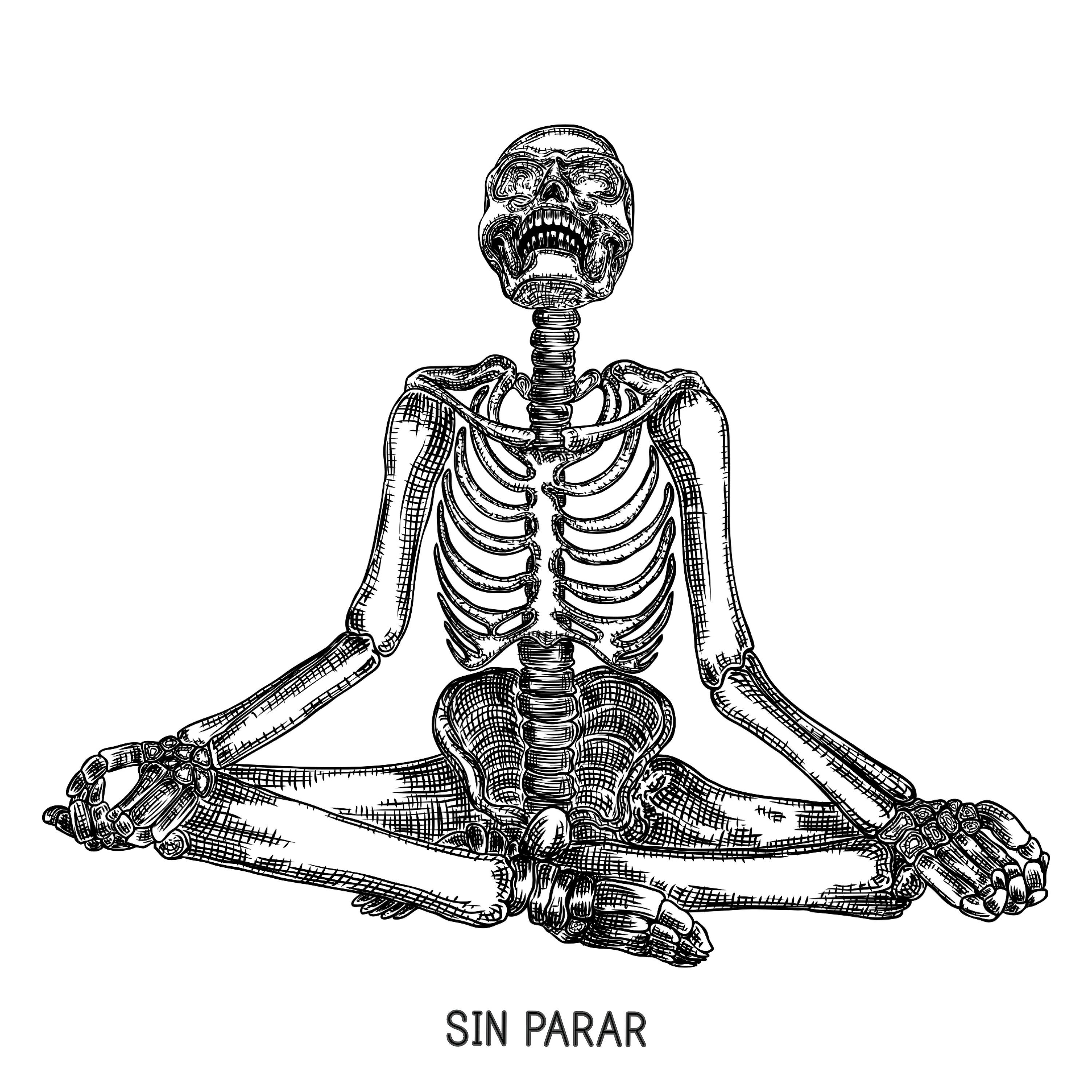 Релиз Sin Parar