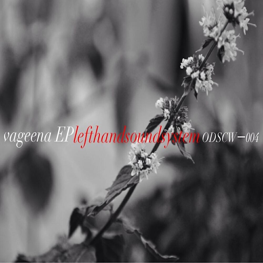 Релиз Vageena EP