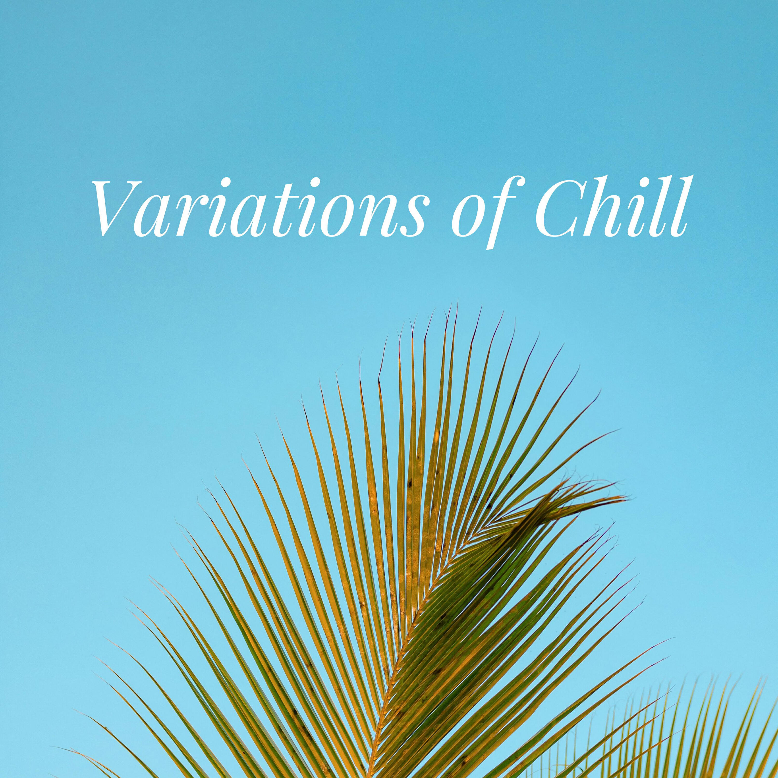 Релиз Variations Of Chill