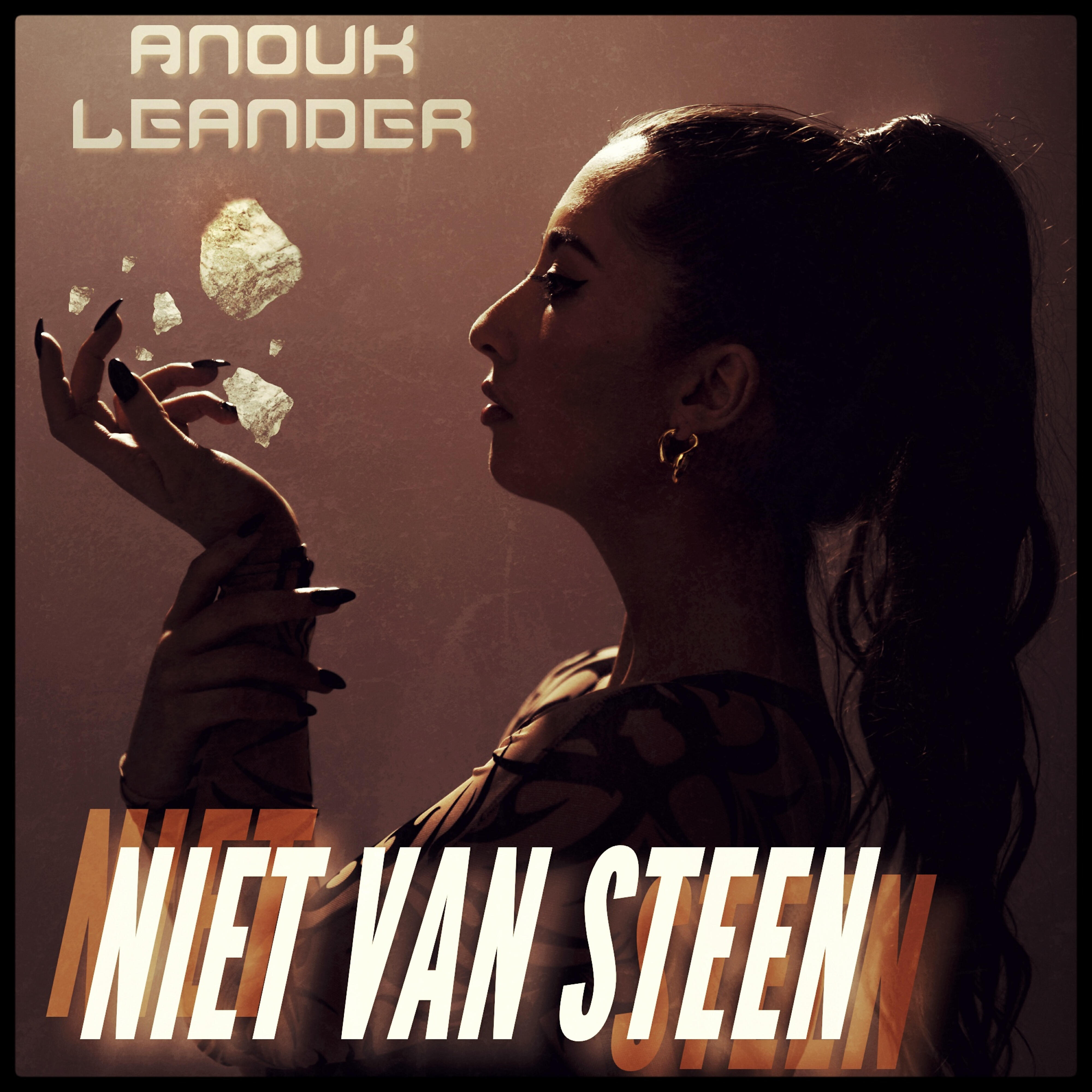 Релиз Niet Van Steen