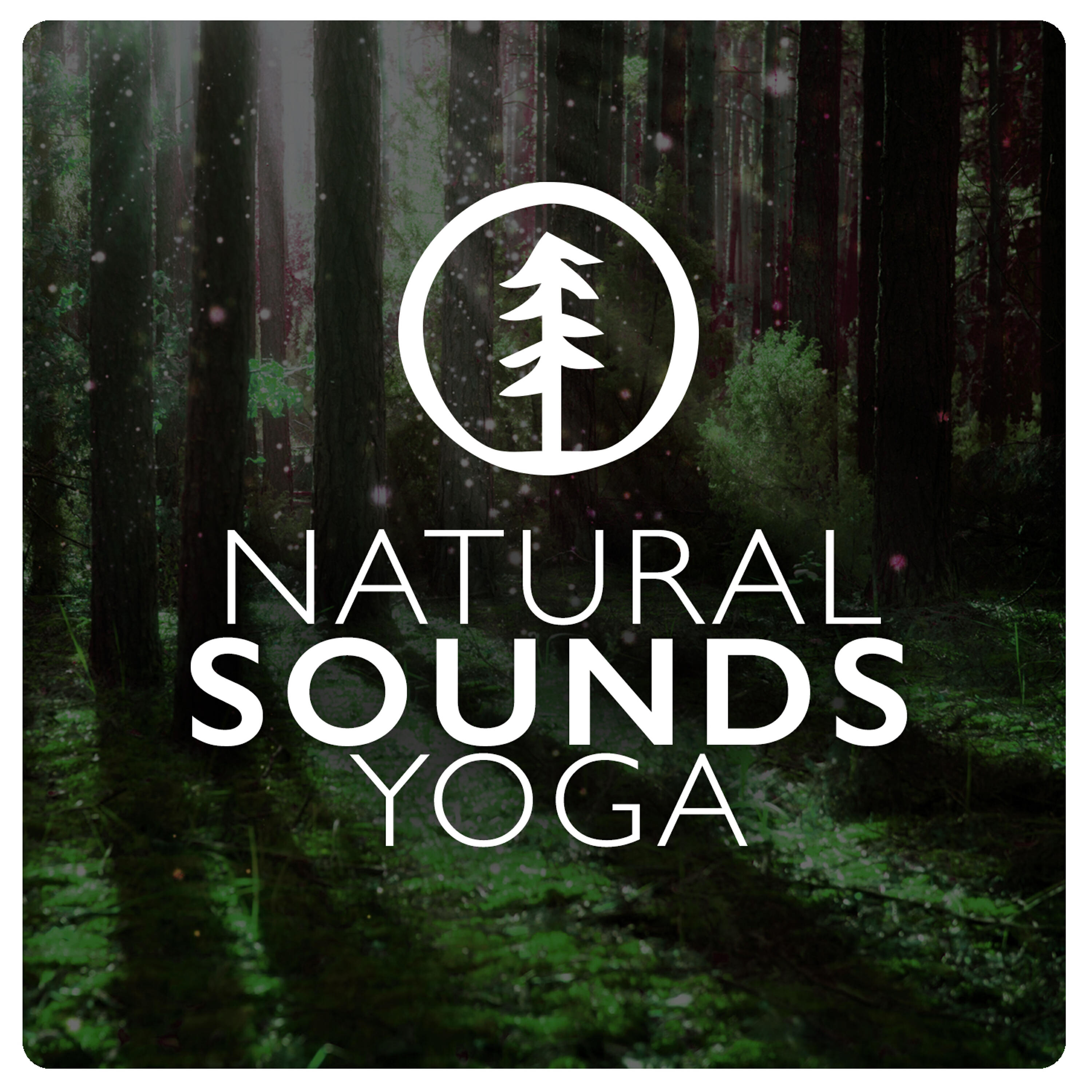 Релиз Natural Sounds: Yoga