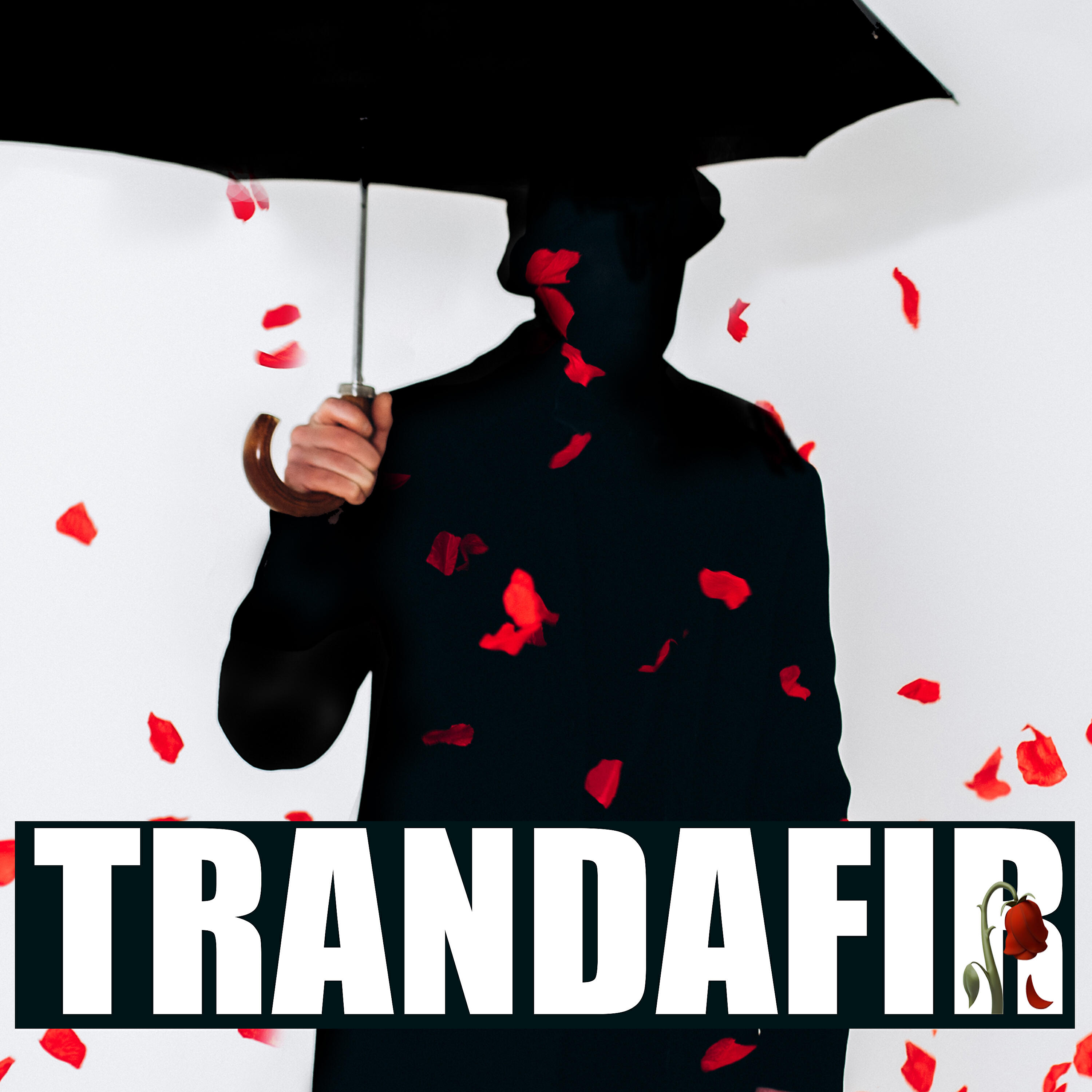 Релиз Trandafir