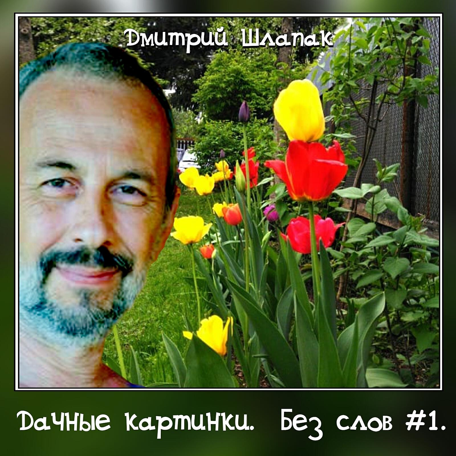 Постер альбома Дачные картинки. Без слов #1.