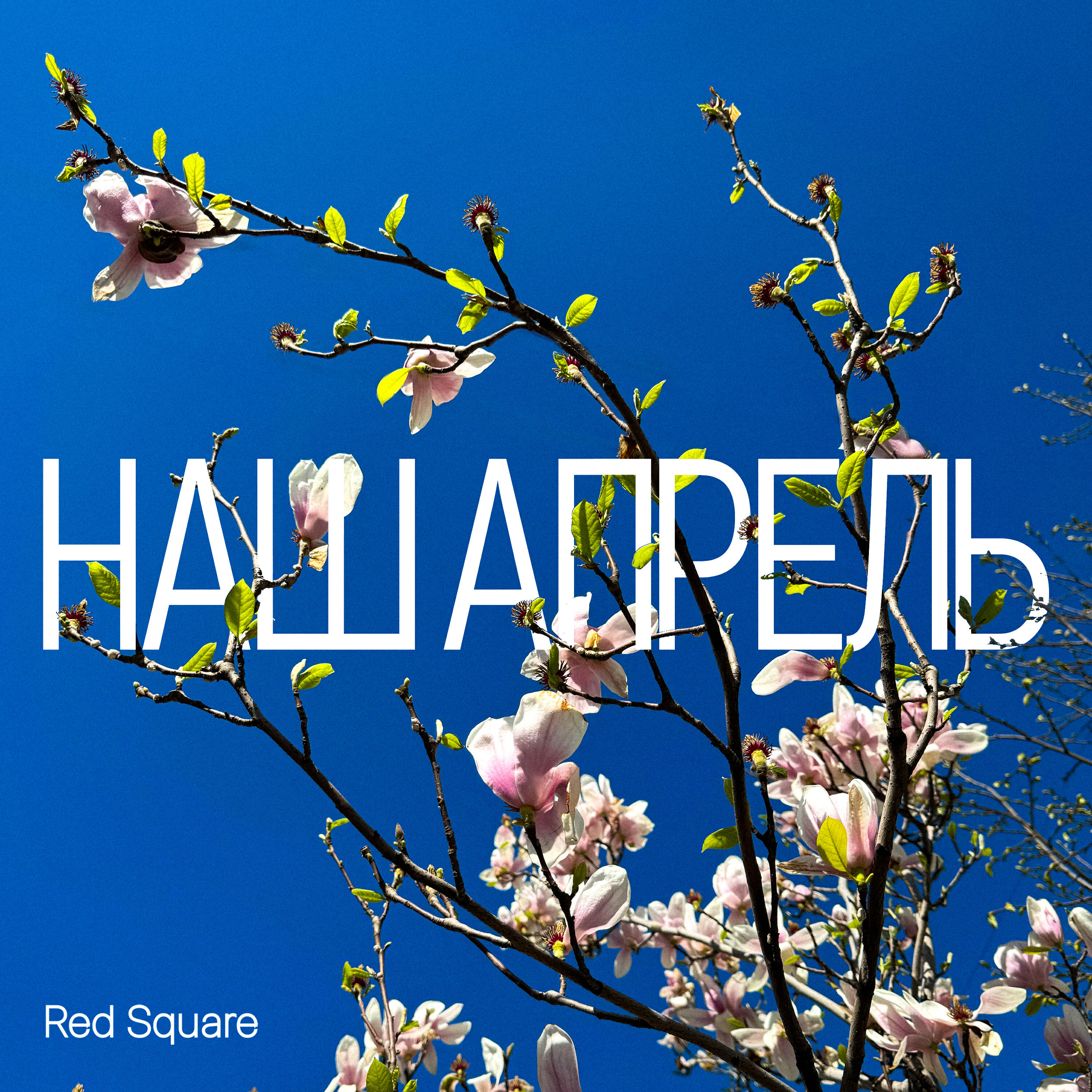 Релиз Наш апрель