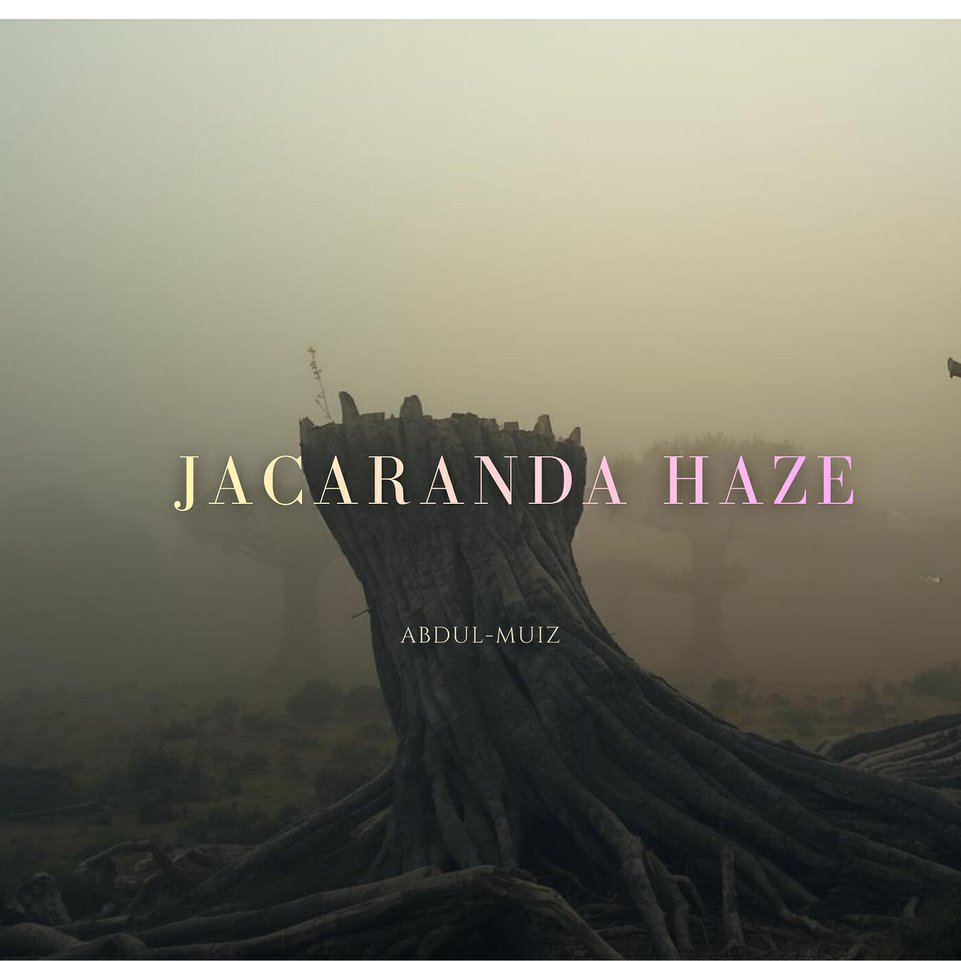 Релиз Jacaranda Haze