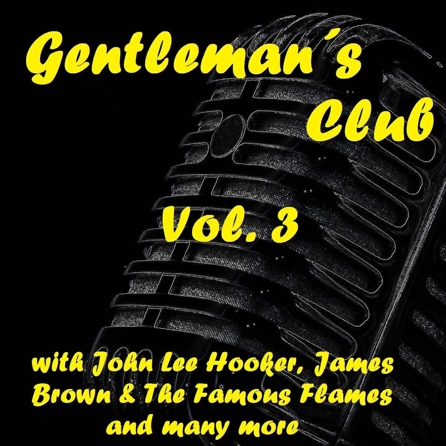 Постер альбома Gentleman´s Club, Vol. 3