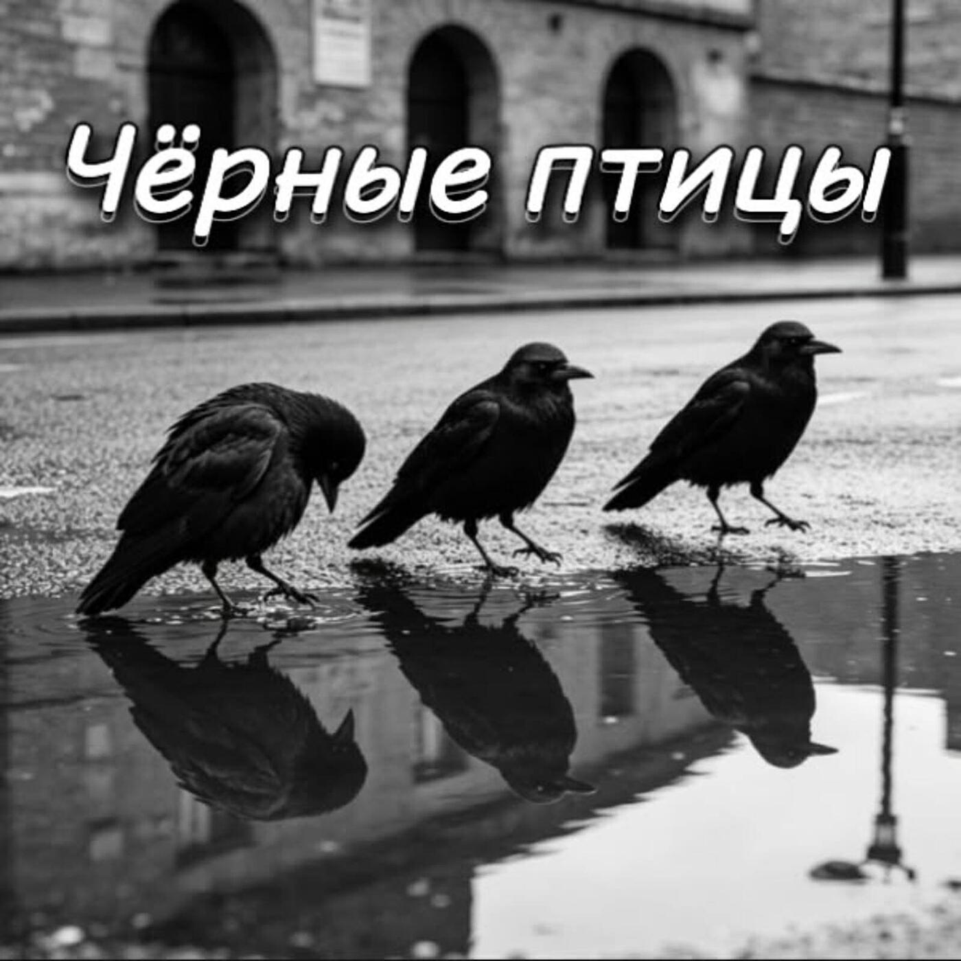 Релиз Чёрные птицы
