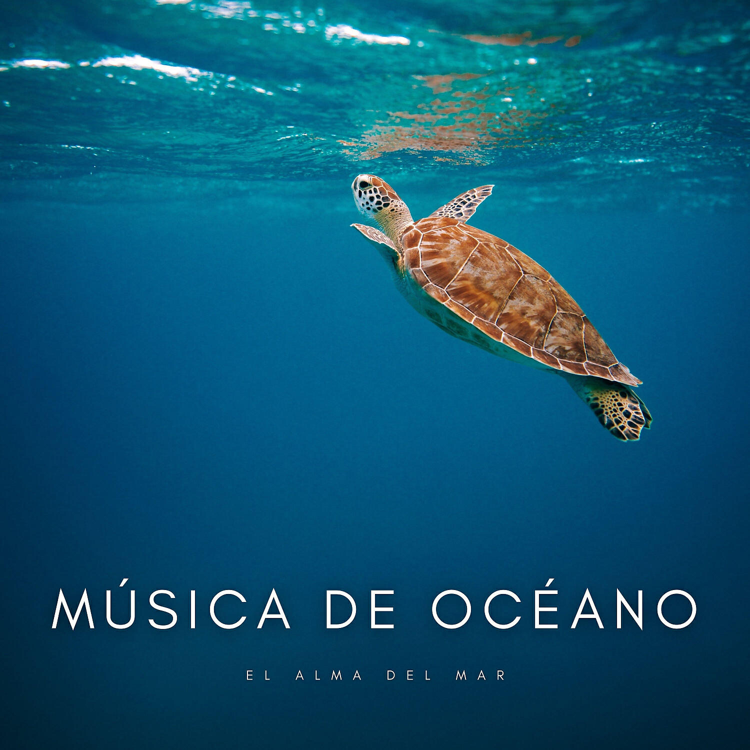 Релиз Música De Océano: El Alma Del Mar