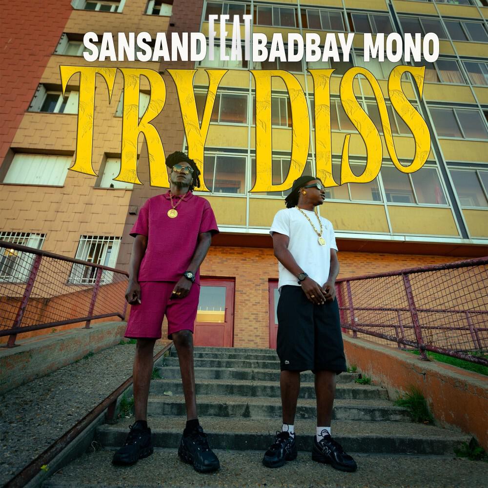 Релиз Try Diss