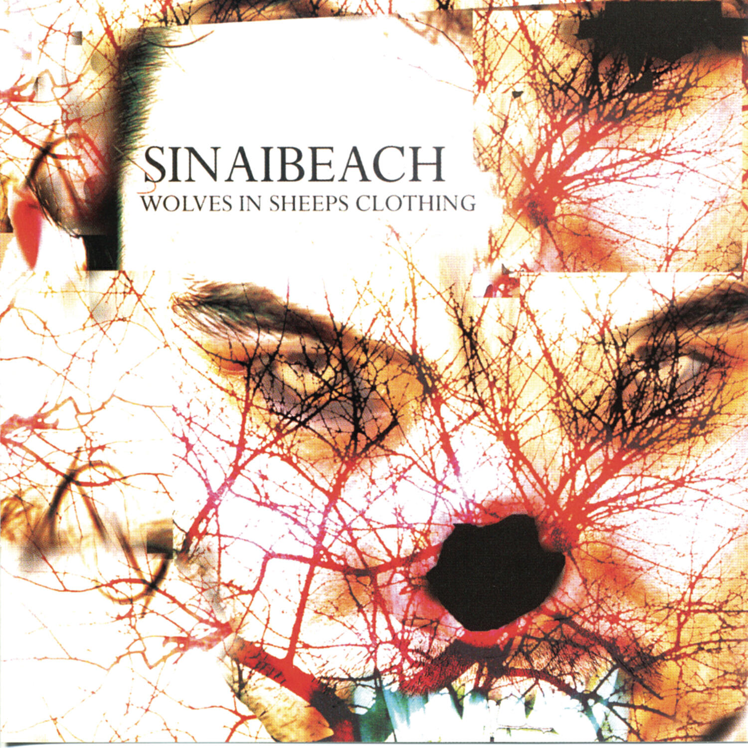 Sinai Beach