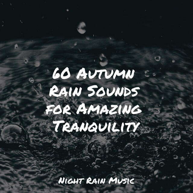Релиз 60 Autumn Rain Sounds for Amazing Tranquility