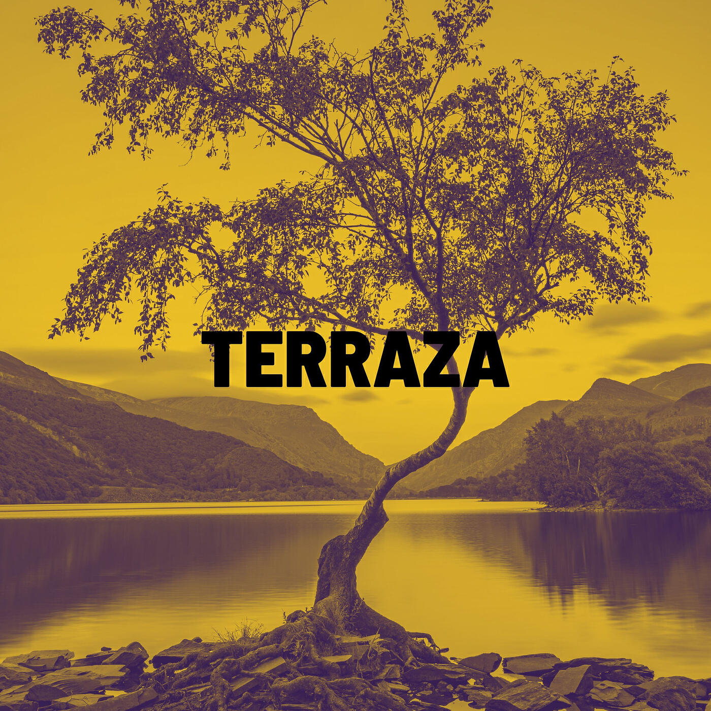 Релиз Terraza
