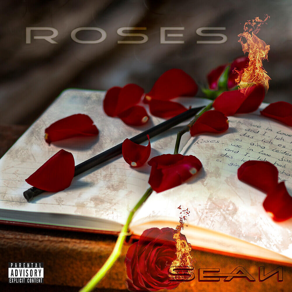 Скачать песню Sean - Roses бесплатно в MP3 для Android и iOS