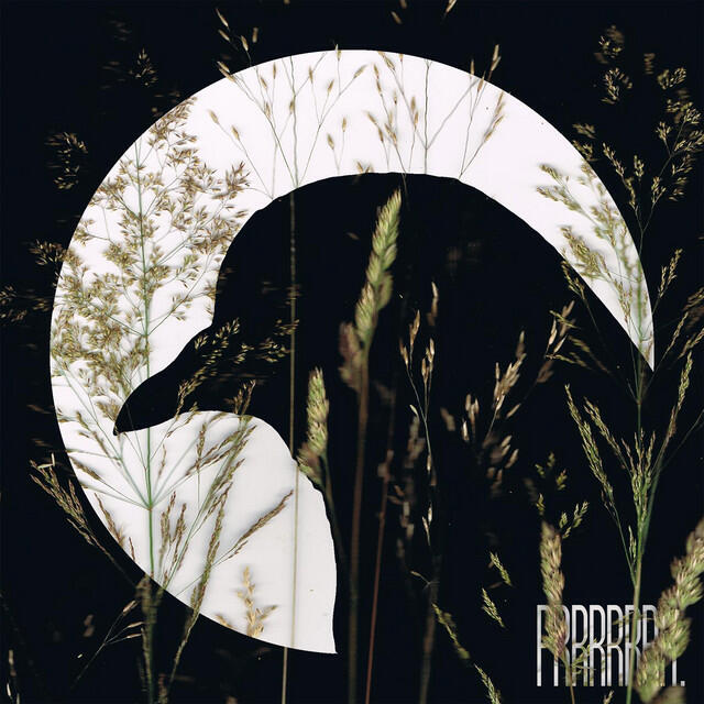 Релиз Something