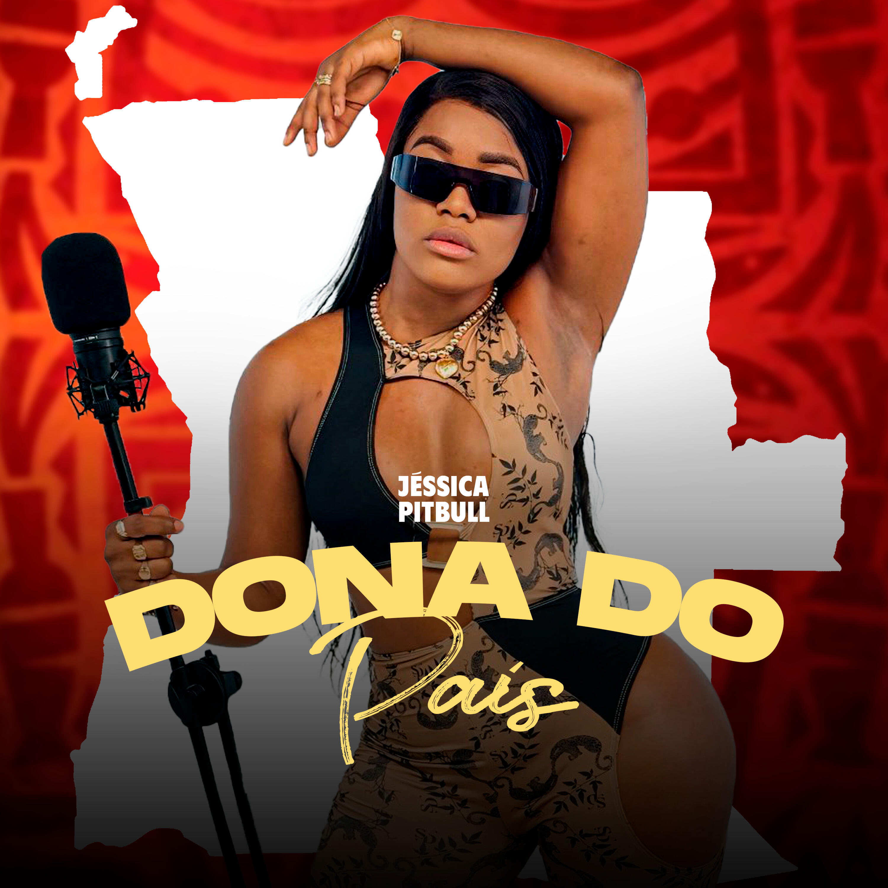 Релиз Dona do País