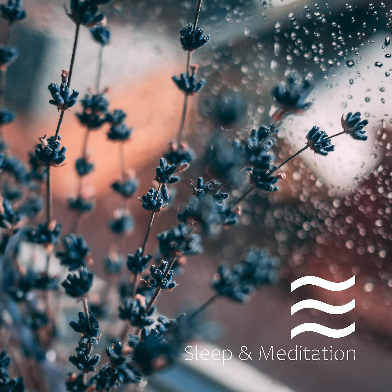 Релиз La Collecion de Zumbidos Tranquilos Para Soñar Genial y Relajacion Mejor