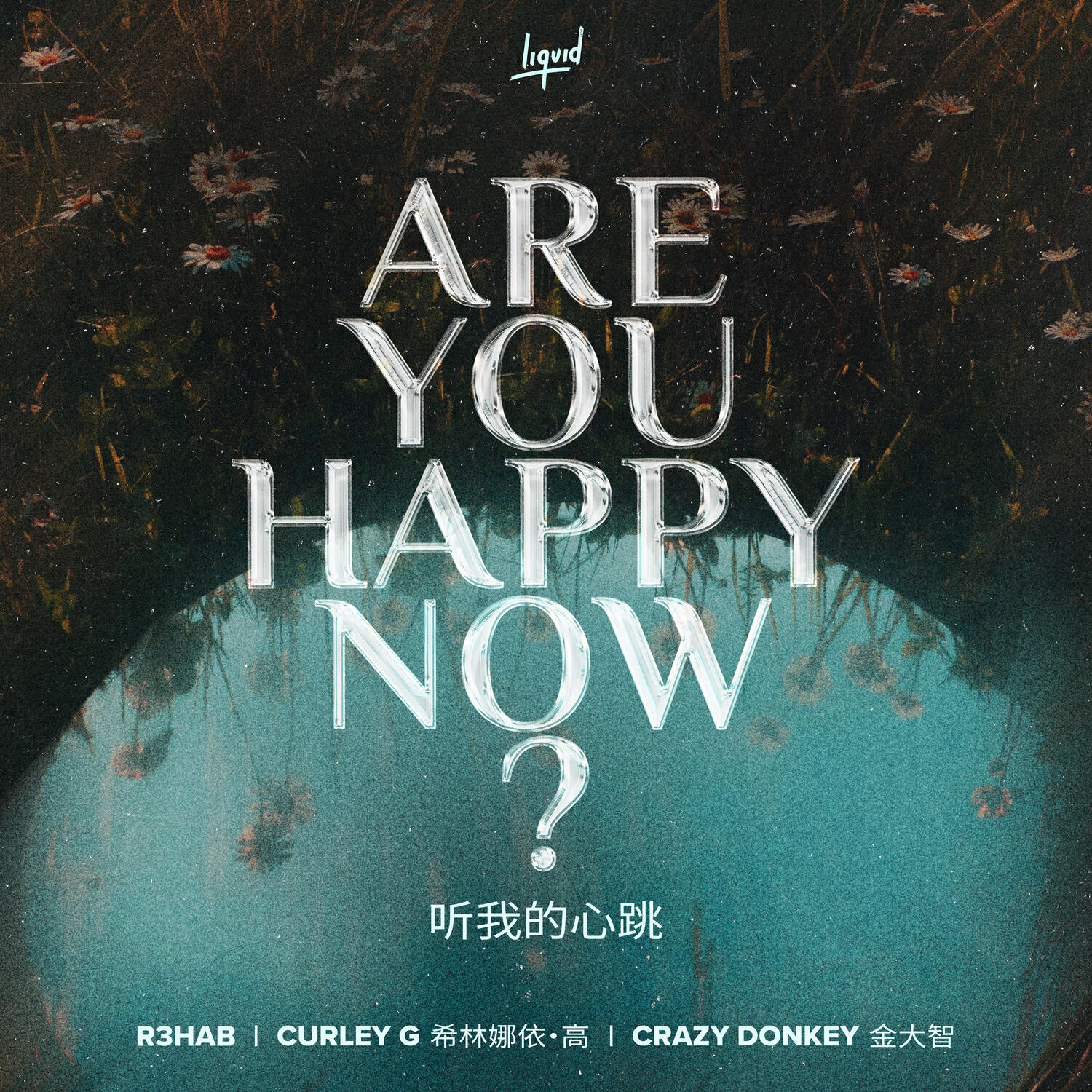 Релиз Are You Happy Now