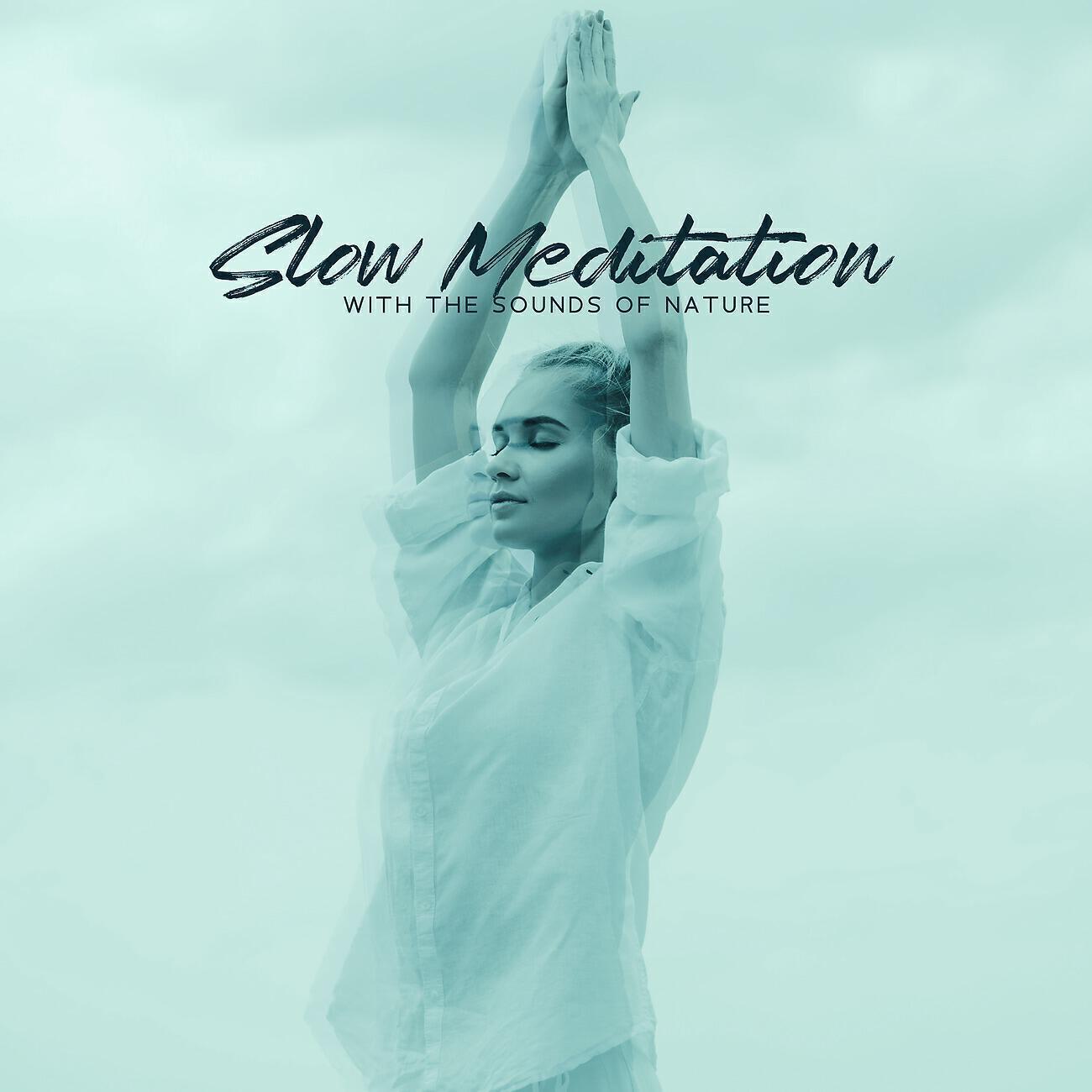 Healing Frequency Music Zone