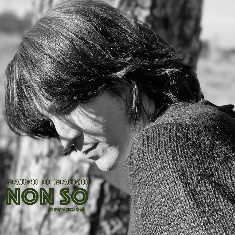 Релиз Non So (Alternative version)