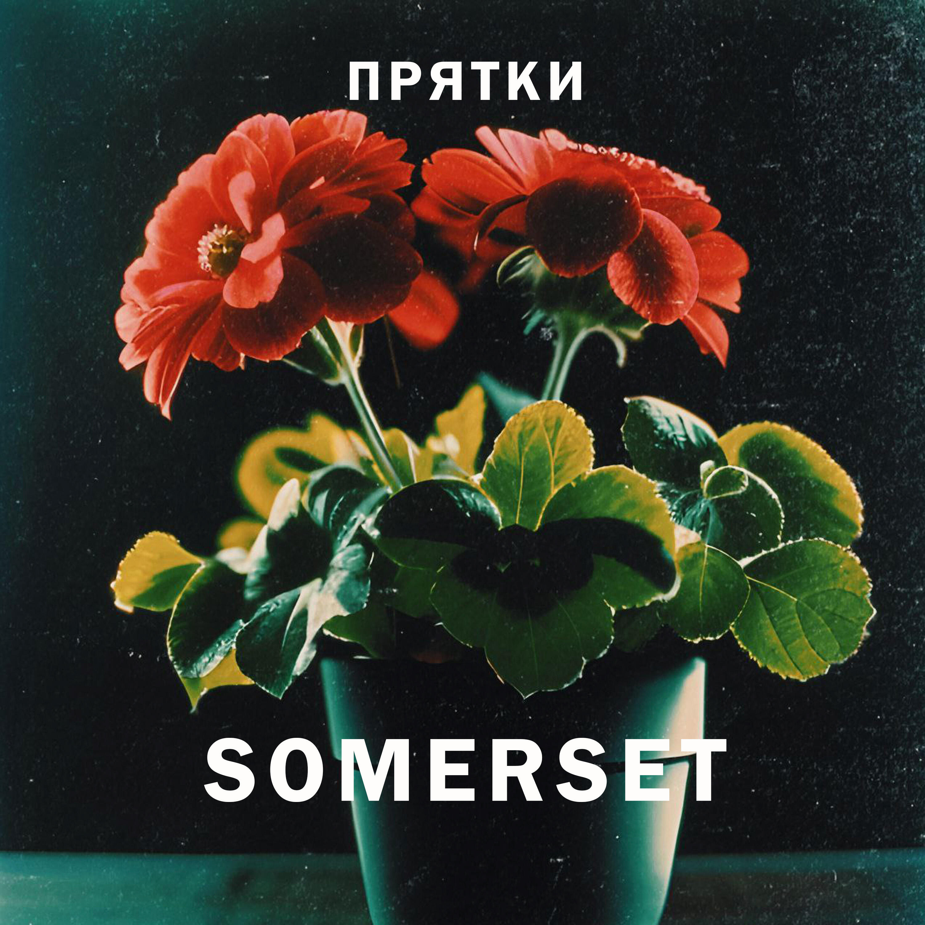 Постер альбома Прятки