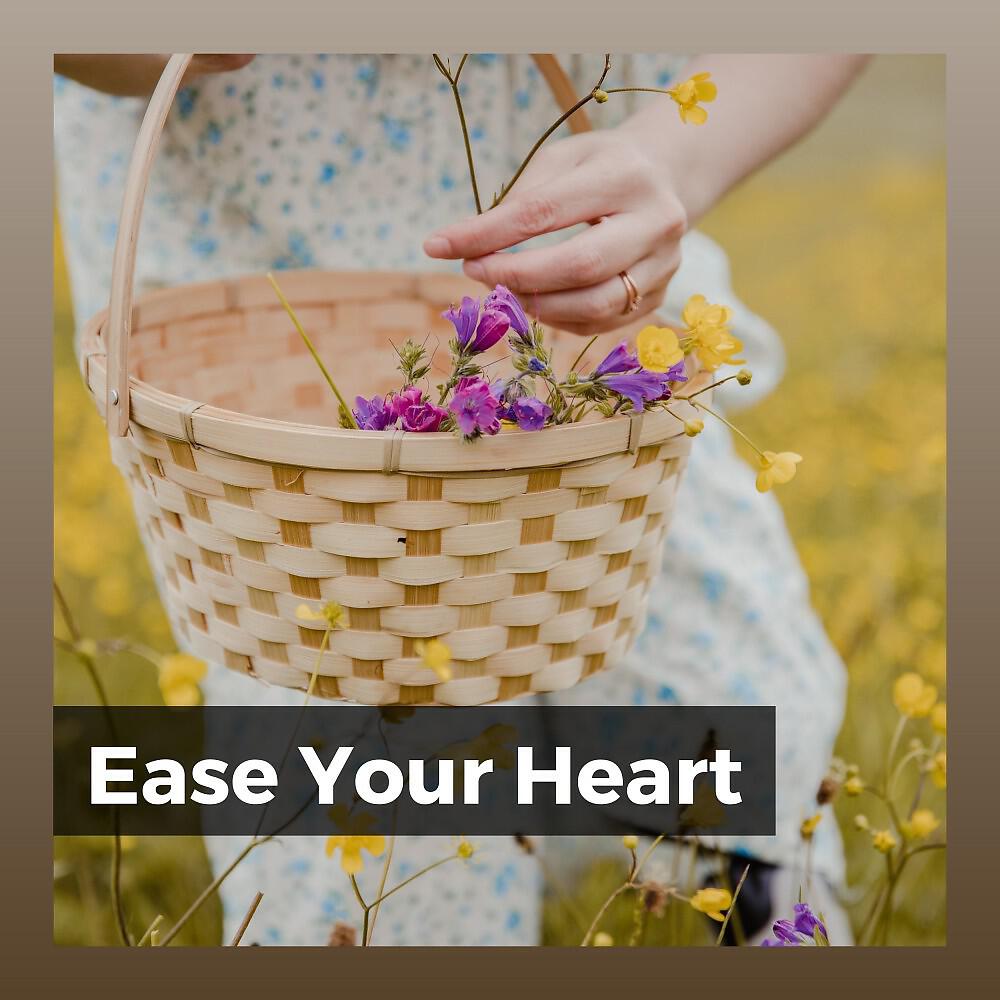 Релиз Ease Your Heart