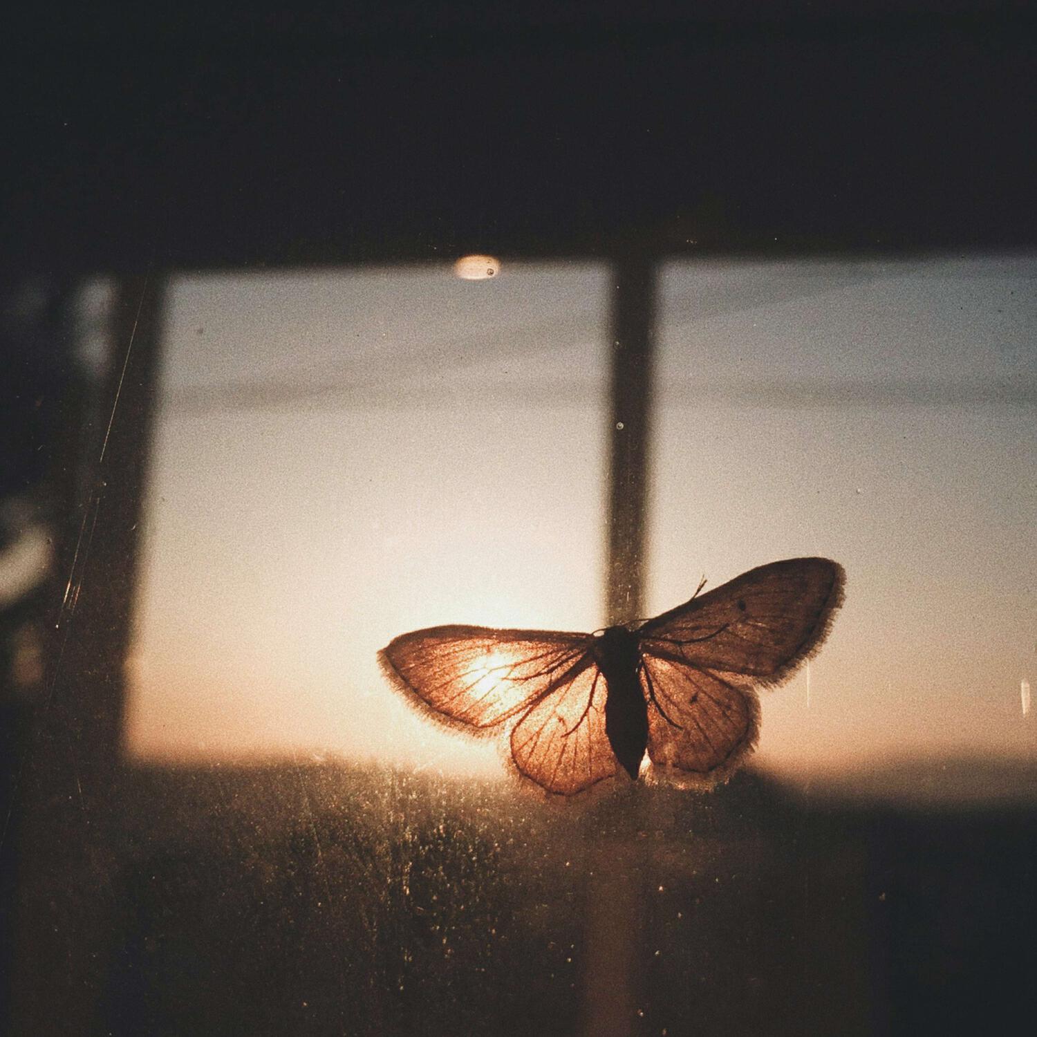 Релиз dreams