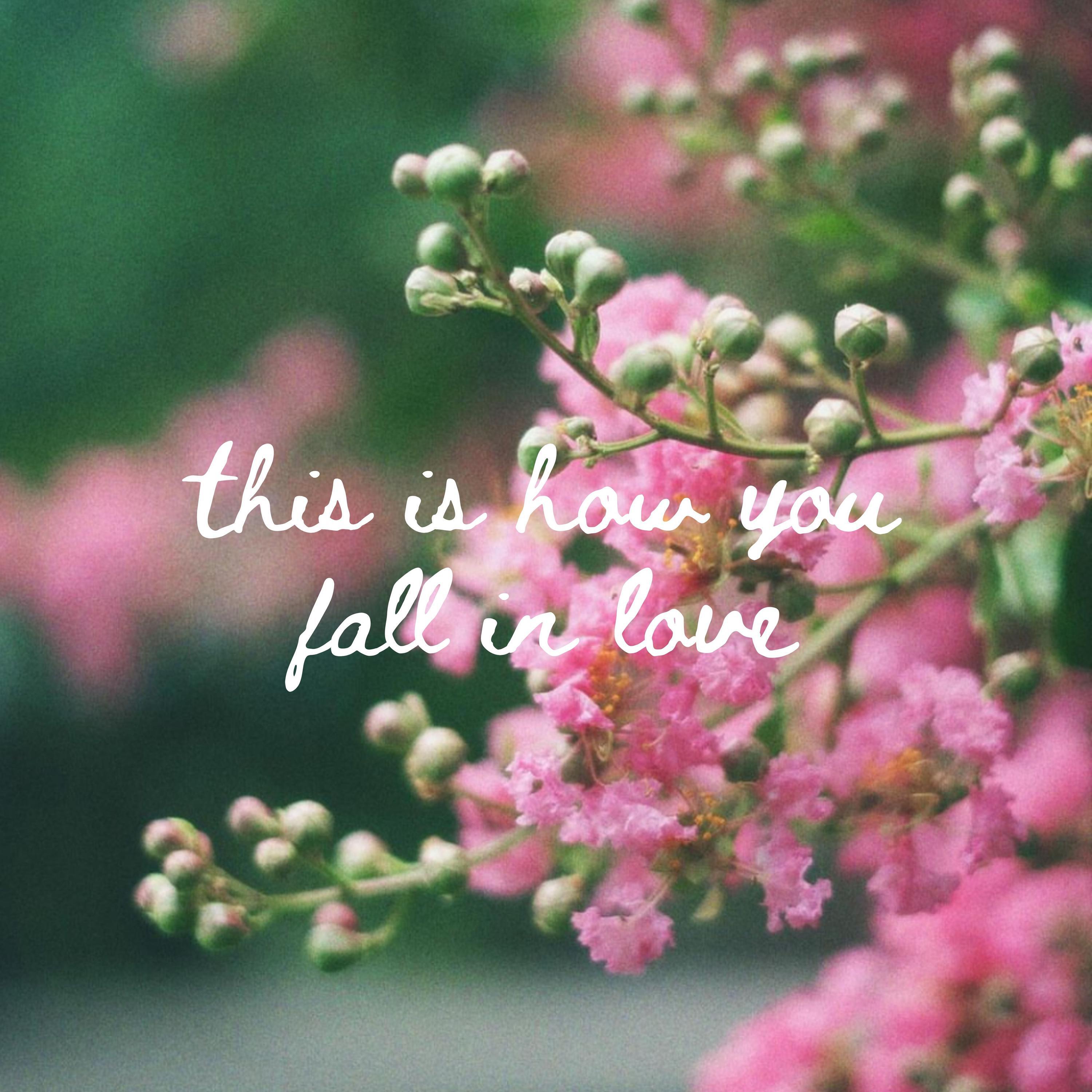 Релиз this is how you fall in love