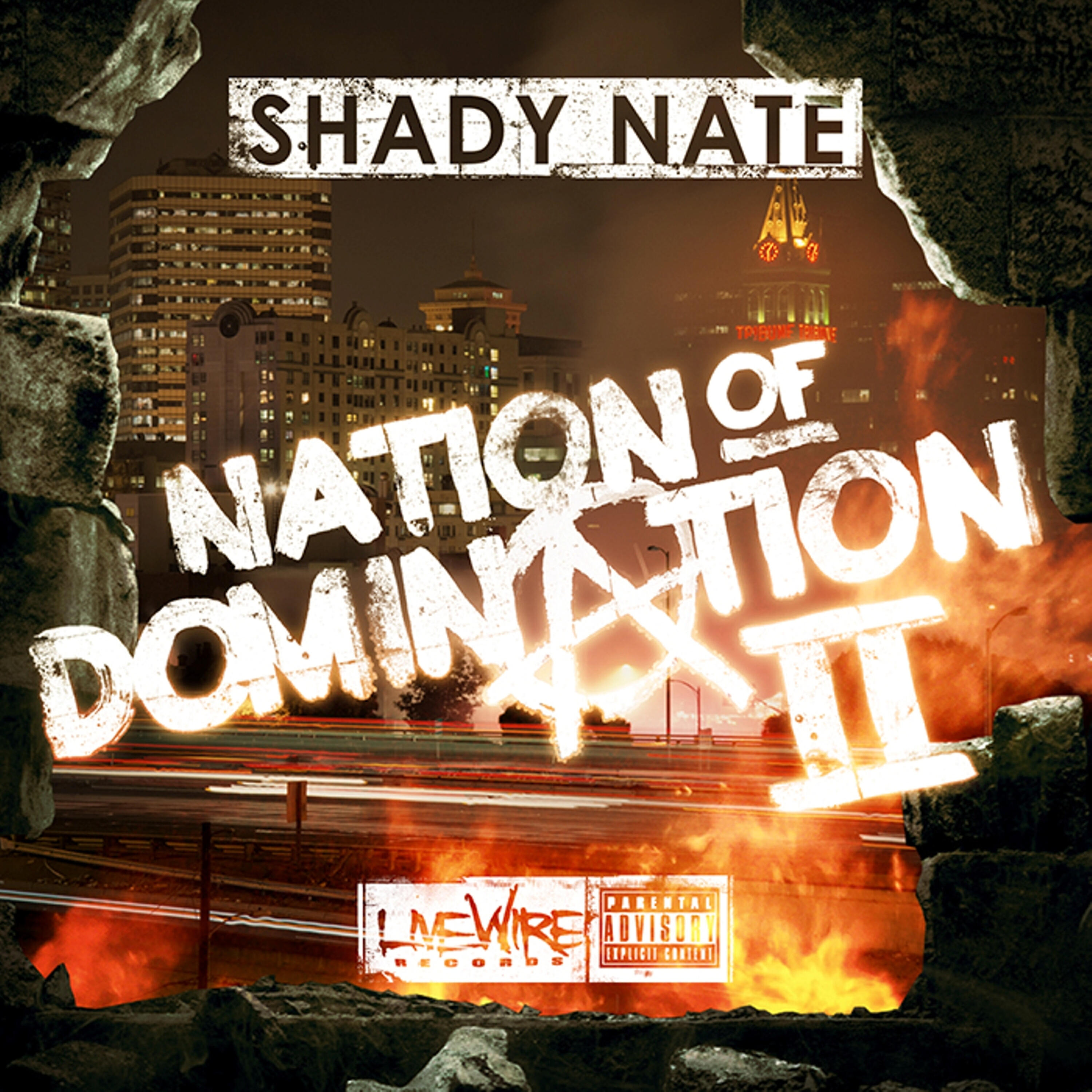 Постер альбома Nation of Domination Pt. 2