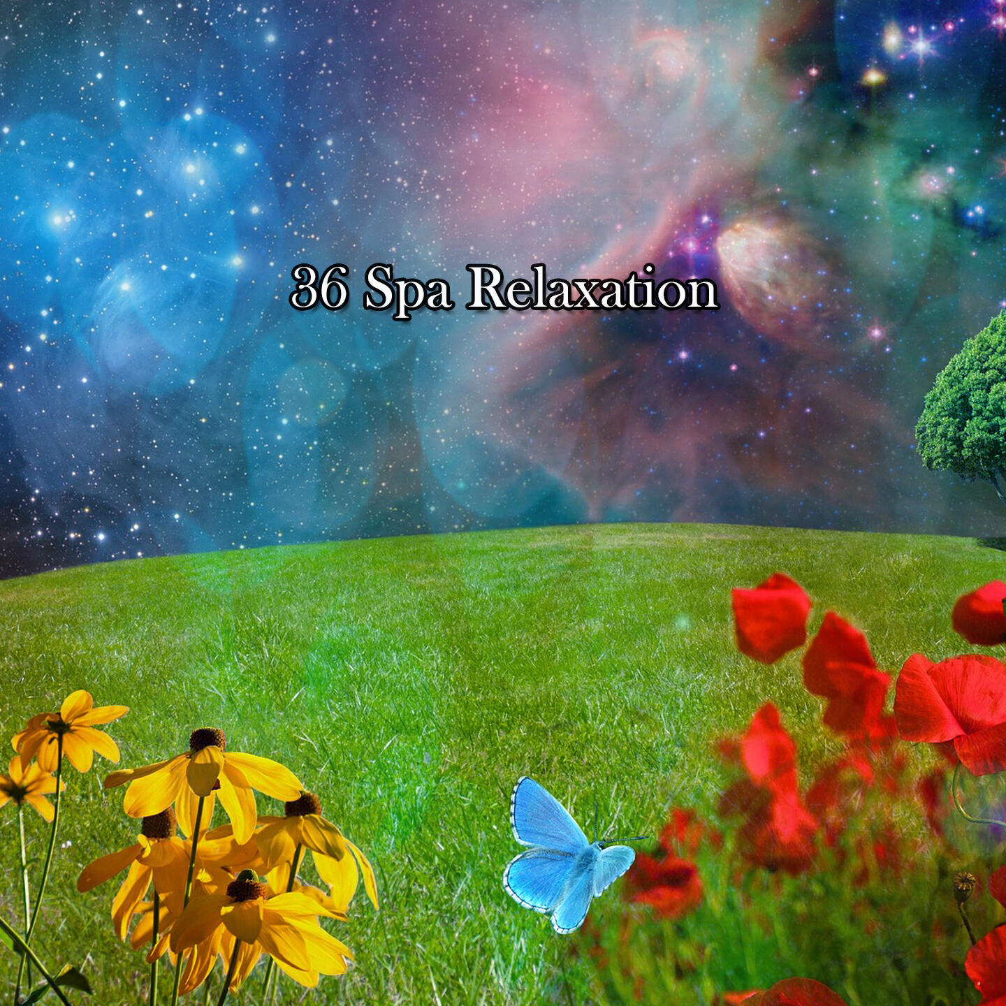 Релиз 36 Spa Relaxation