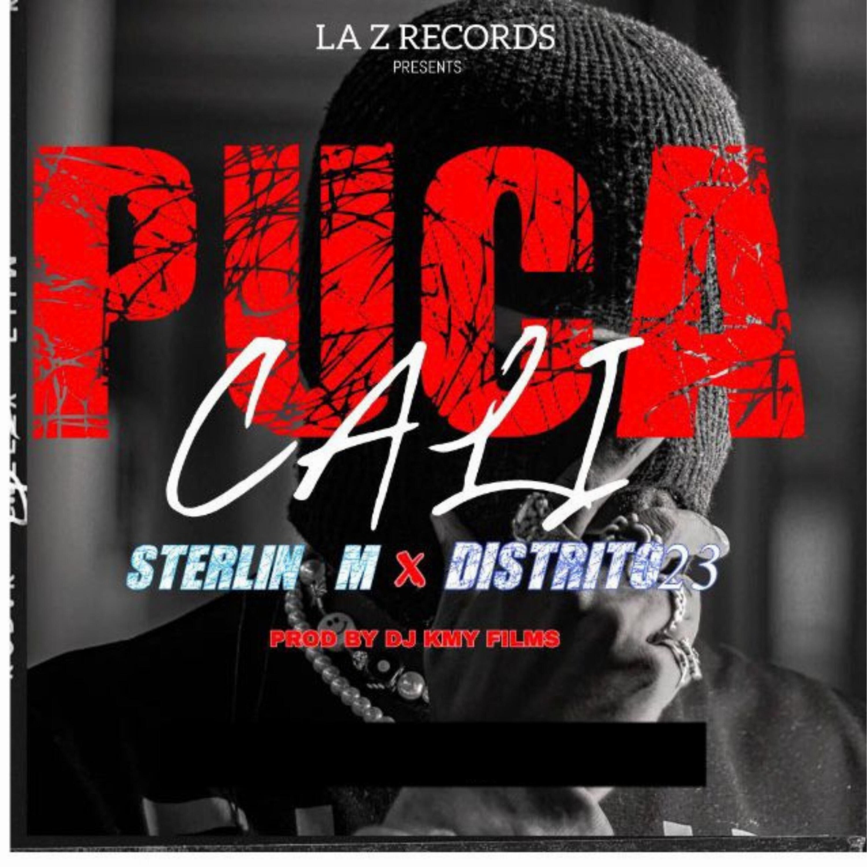 Релиз Pucca