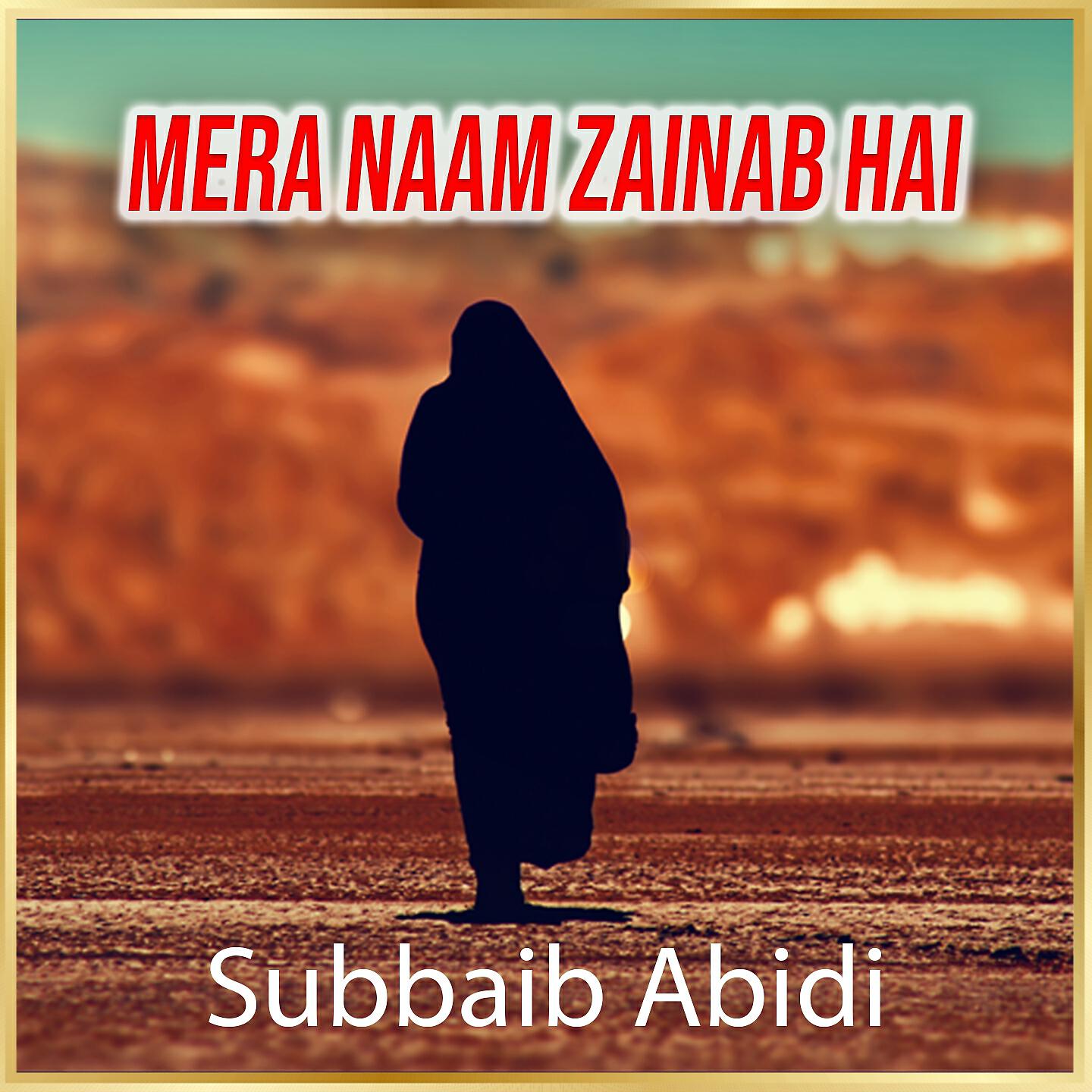 Релиз Mera Naam Zainab Hai