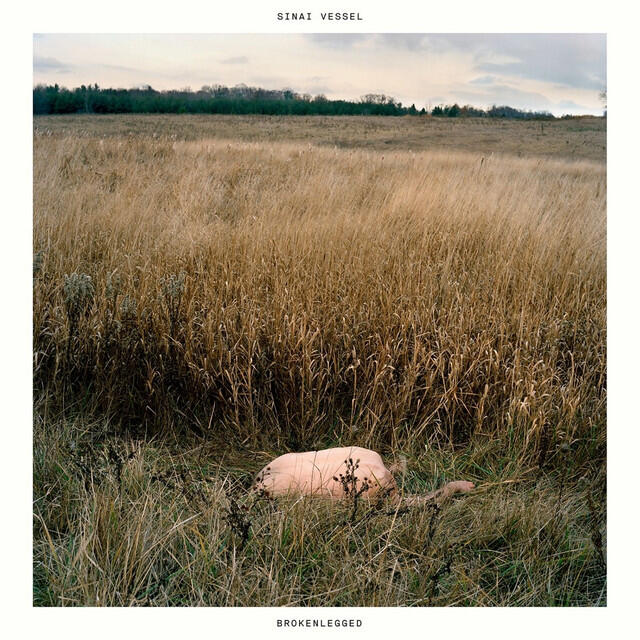 Релиз Dogs