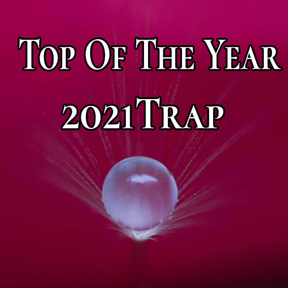 Постер альбома Top Of The Year 2021 Trap