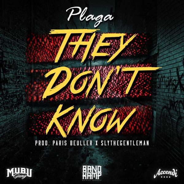 Скачать песню Plaga - They Dont Know бесплатно в MP3 для Android и iOS