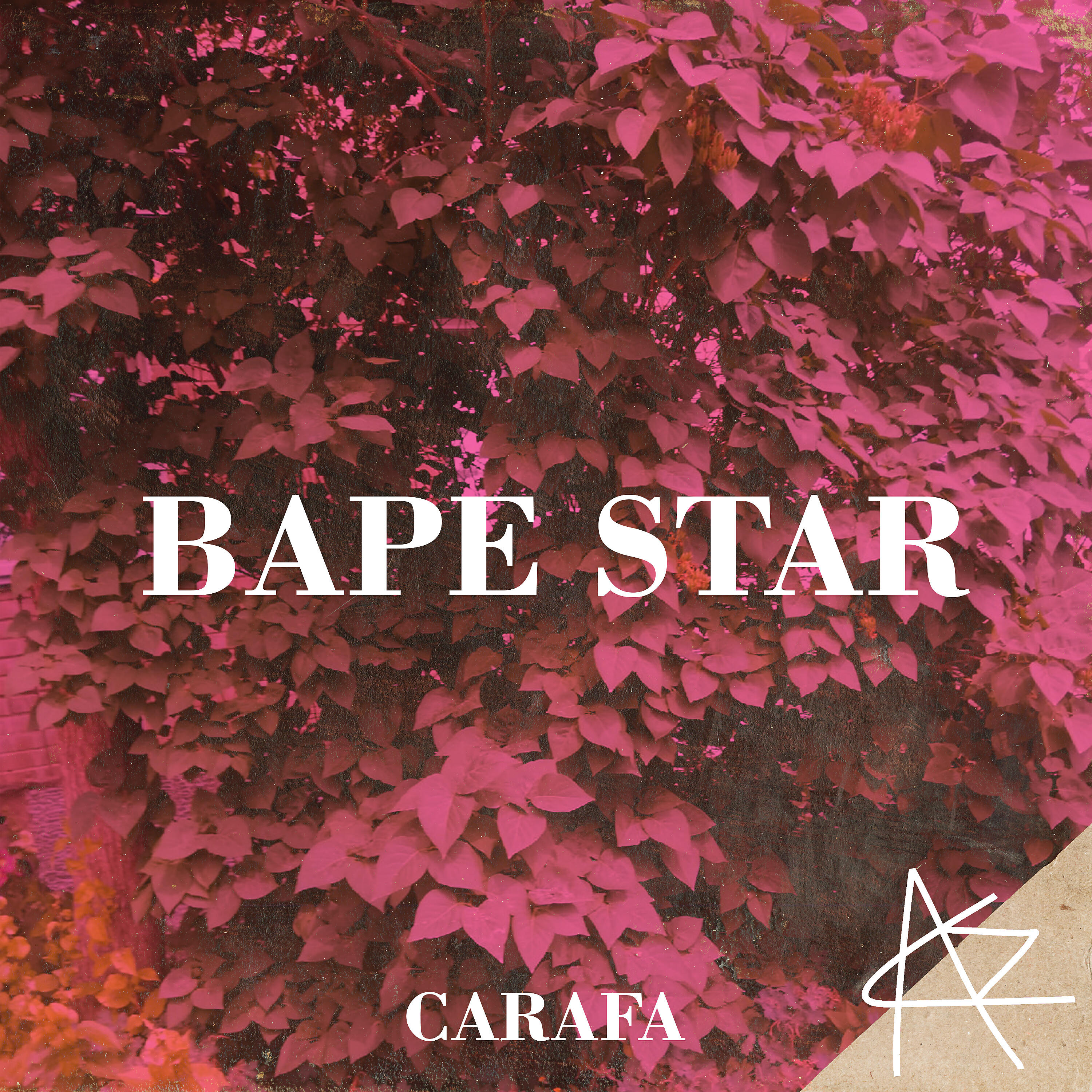 Релиз Bape Star