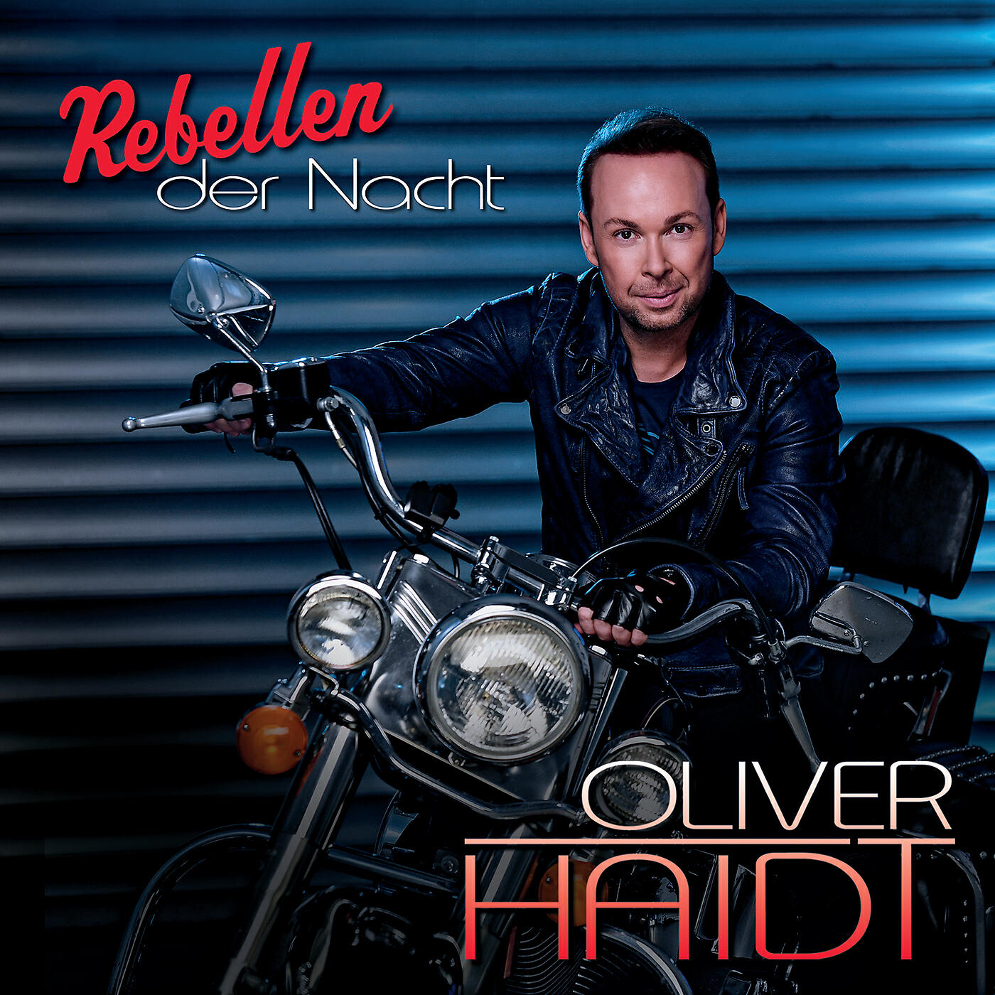 Релиз Rebellen der Nacht